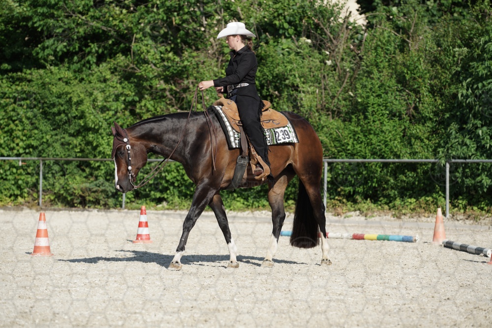s_APF06938.jpg